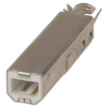 Connecteur USB Type B Mâle.