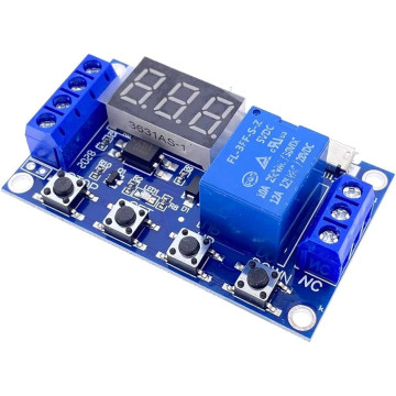 Module Relais Temporisé 1...